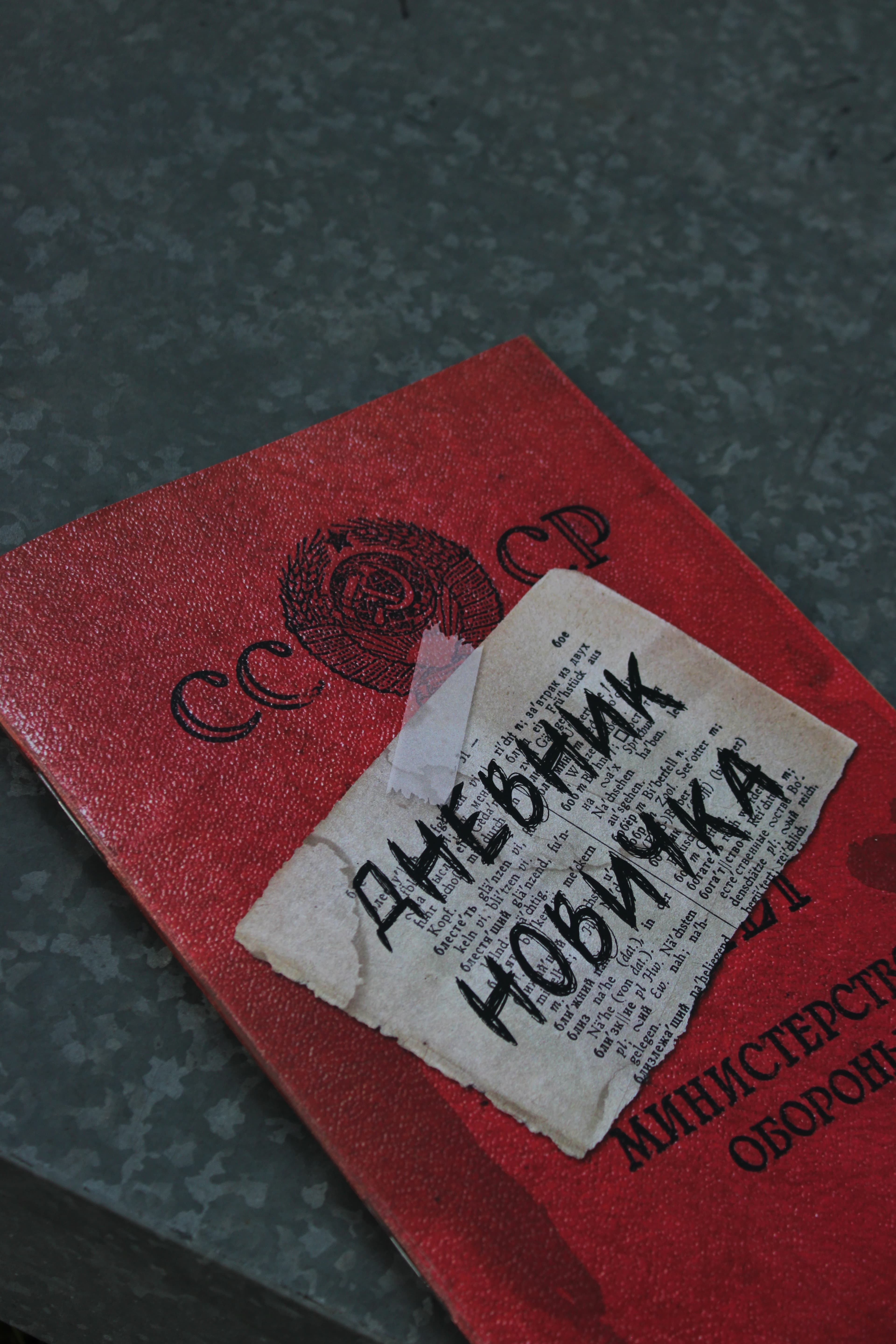 Книга «Дневник новичка» по мотивам серии игр S.T.A.L.K.E.R.